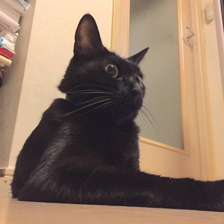 F9a3ccdd 9deb 4792 9ee2 146dc32babb5