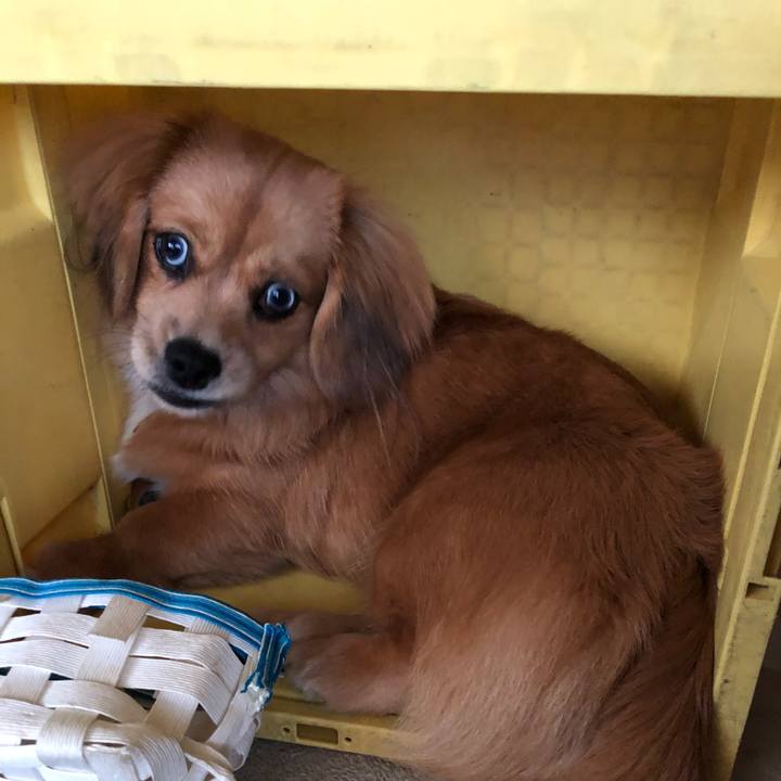 F9a3efa7 4510 4e42 b4ee 46cc3ef9ff1f