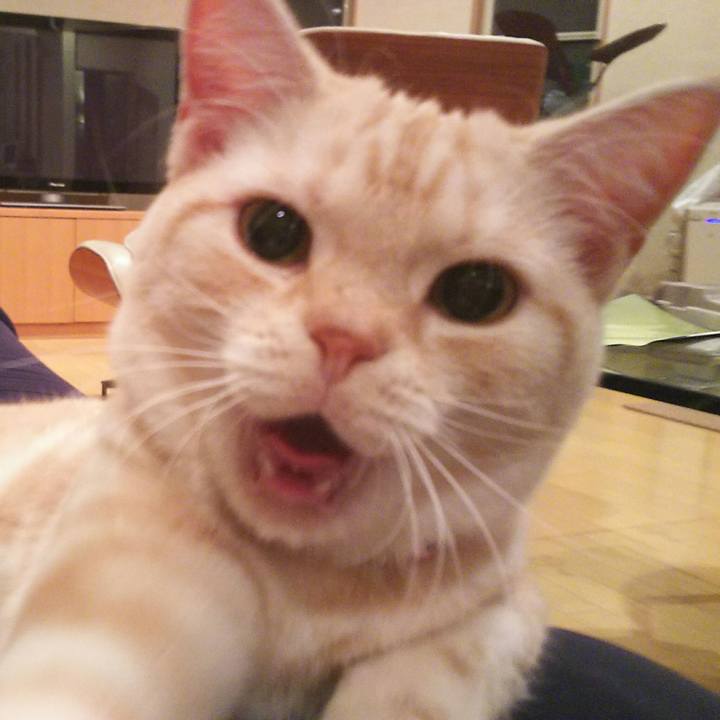 F9a4ed94 bf86 4a25 a94d 87e9e979db45