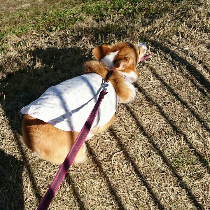 F9a5d724 1e38 4d72 9e3d 838c1b8be112