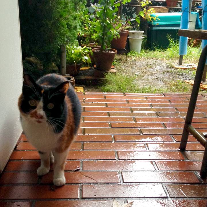 F9a61291 0c53 4062 9615 a82b589dd17e