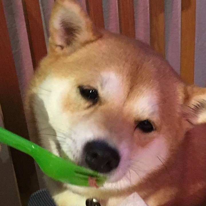 F9a7a0a4 a491 4506 82af e6052e6d1ba1