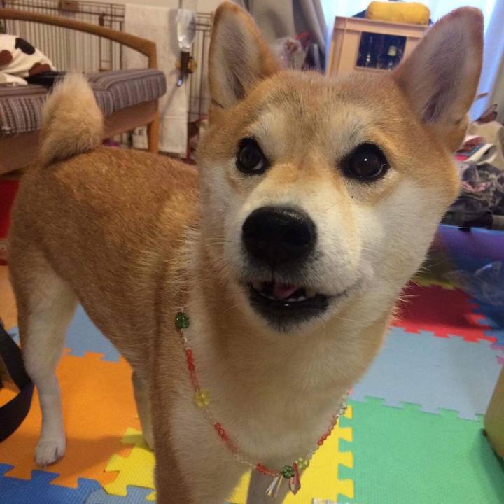 F9a7c2da 15a1 4983 a89e baf79459eb33