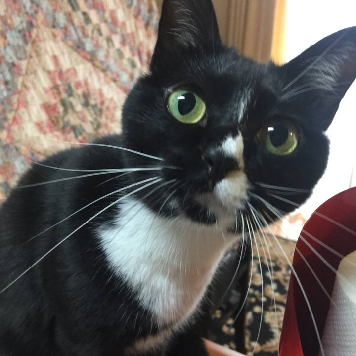 F9a7d783 56ce 4c67 97f8 982502934744