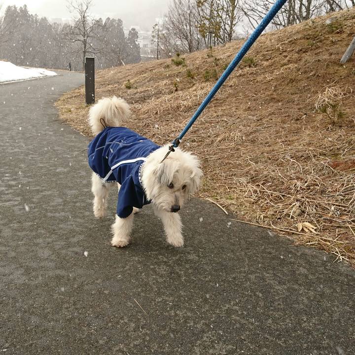 F9a7eb97 8f86 47e0 a30e d5e24768fa8c