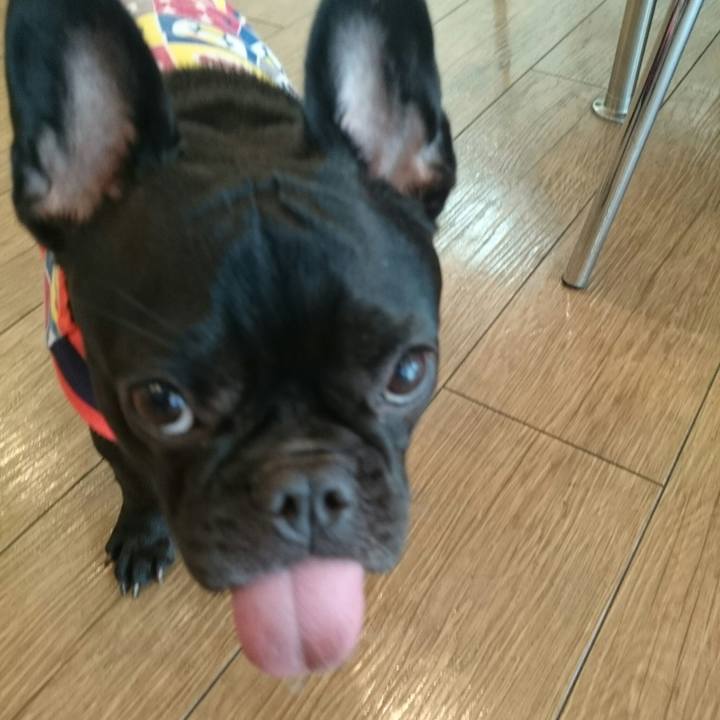 F9a99c4d 86c4 4762 8da0 c2770259f492