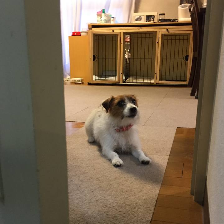 F9aa1479 508b 41e0 b80c e9c0a2bf4738