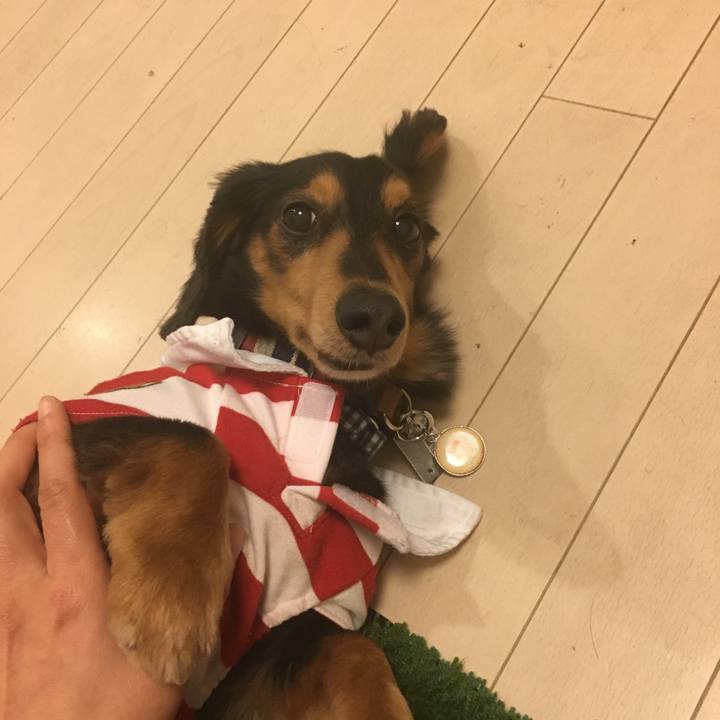 F9aa7ed1 ace8 4d5c 8799 cb1bc436019b