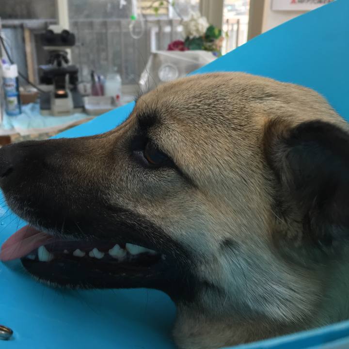 F9aaeeaa a407 4188 8901 6ebbfe4d3cc9