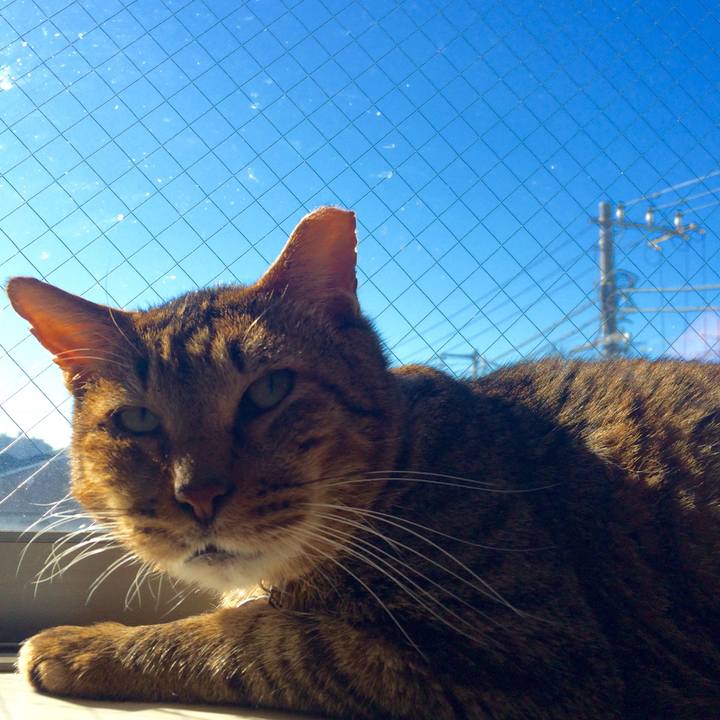 F9ab0a67 196e 49ef aa2d 28f388138e8c