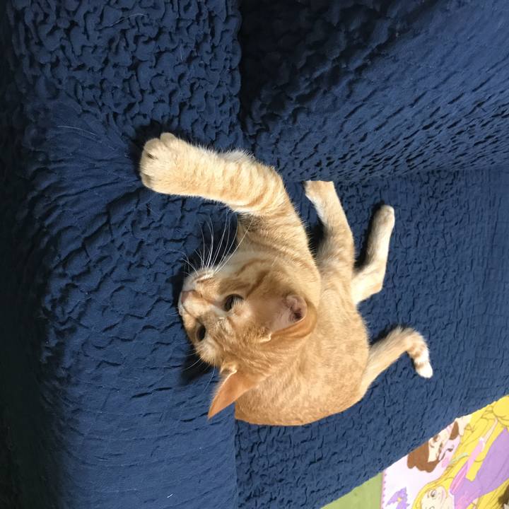 F9abdb09 eeca 4a91 91c6 9ee0147987f4