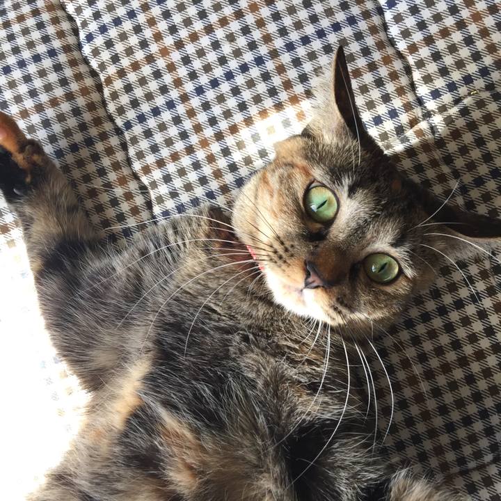 F9ac1879 e1d3 48db 94c2 155b7c6158b5