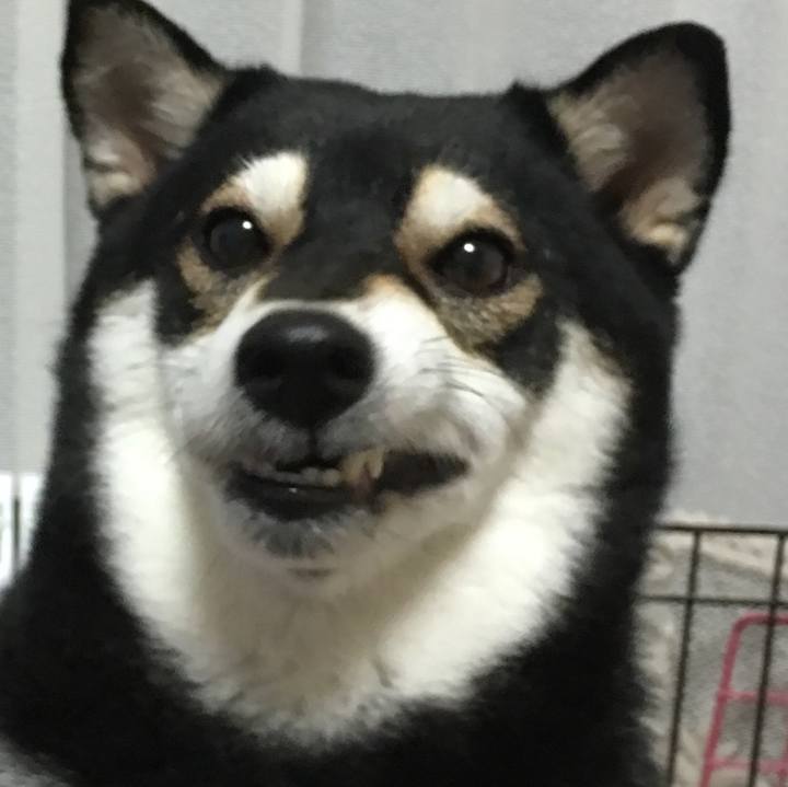 F9ac4a4f 819c 485f b4ce 7f0d2955cb72