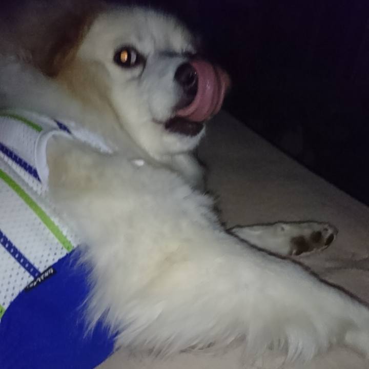 F9ac6453 4428 4b45 b61c 09e0f4957043