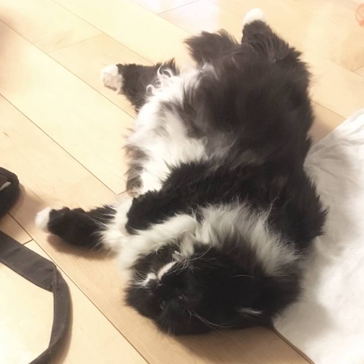 F9ad4bbd 067e 4469 829b 30e34b7246d8