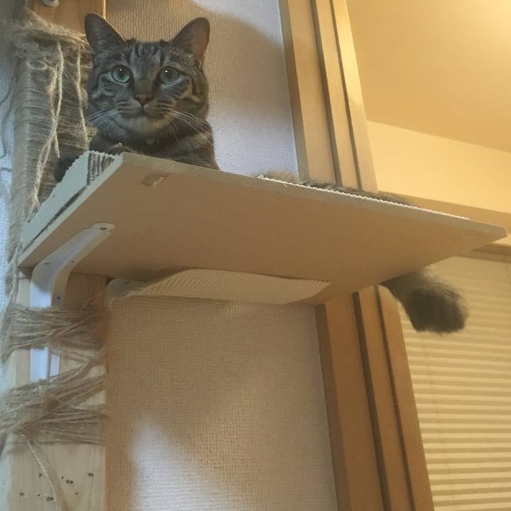 F9addc8f 5861 4dfe bca7 1dd84af90f89