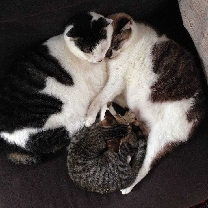 F9adfa3e 229b 4ca9 be27 e4915c0c6a5f