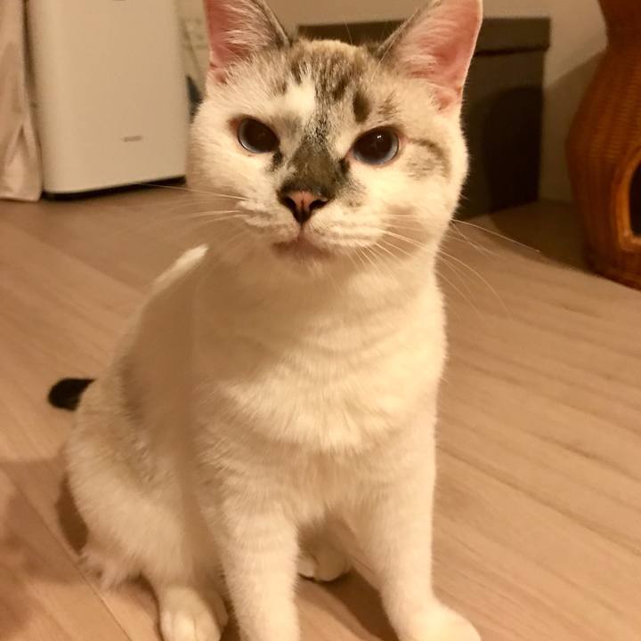 F9ae2e34 cef0 44f5 9fce 5161c6fd9968