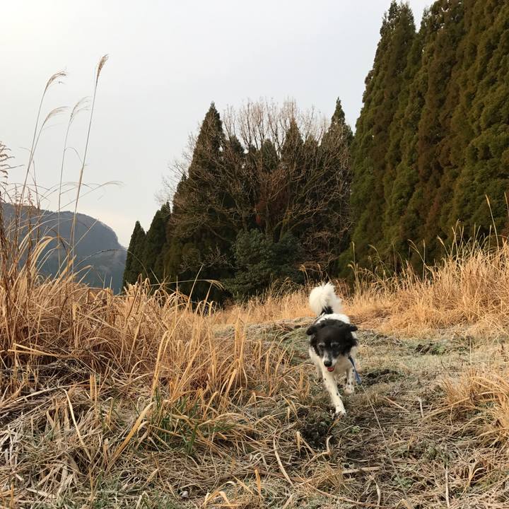 F9ae8e86 a678 4071 bdda e6aba7b82d89