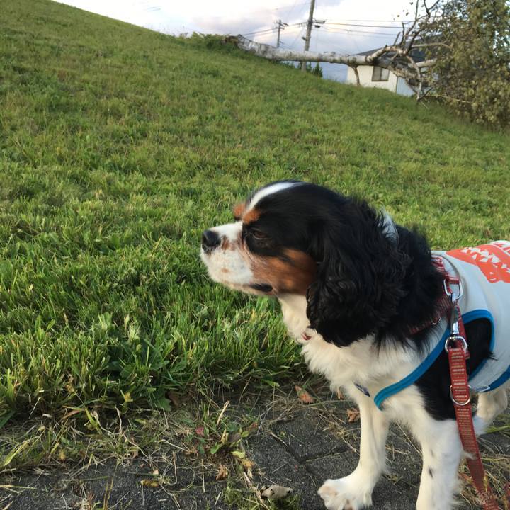 F9aea97a 227a 4fbd be02 19e8f93c4163