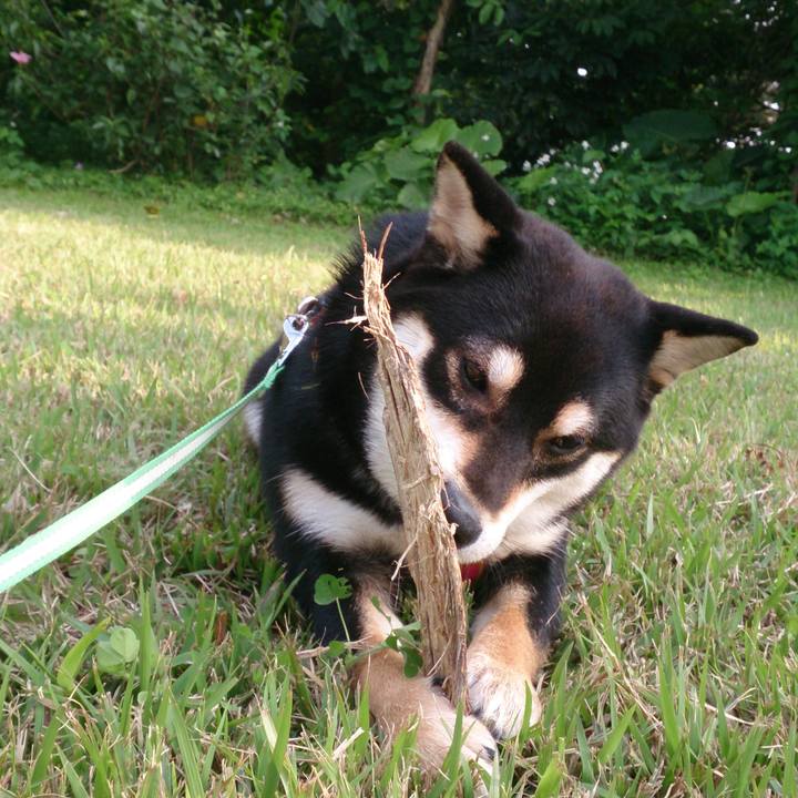 F9aeb104 4cfa 4580 89fe f14370cf276d