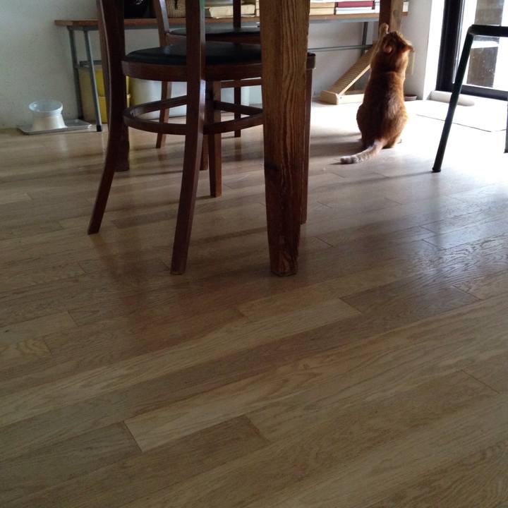 F9aebd8d 0d1b 4079 bb46 ae195b221b5a