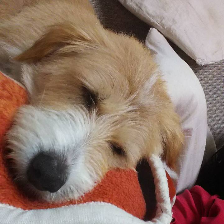 F9aeec55 a1fd 4940 a3ff 71e11e912357