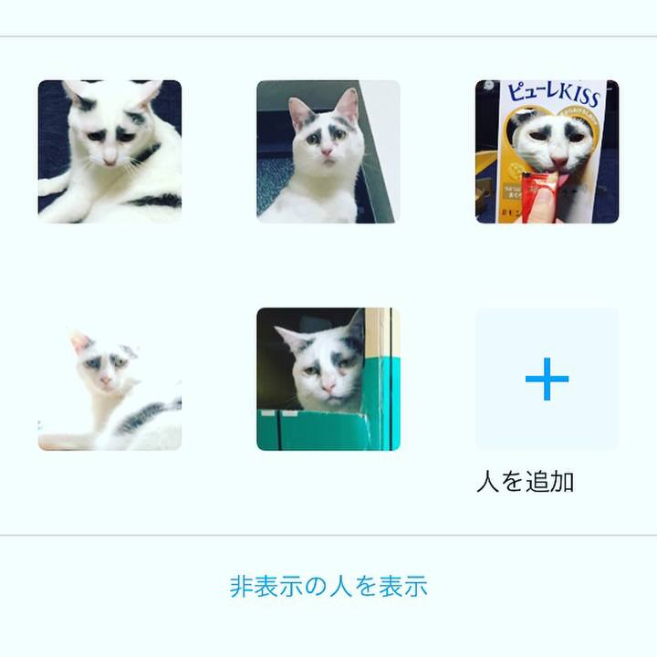 F9afc649 1b6c 4f50 94ad cb0ba8b1fbf9