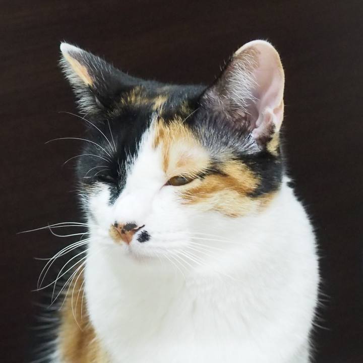 F9b05dae ae7d 464c 855b 6c4c83e81b68