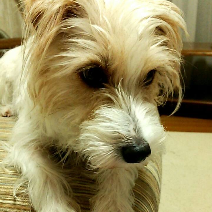 F9b14c7d 6dda 4361 9a4f 3f94bc142faf