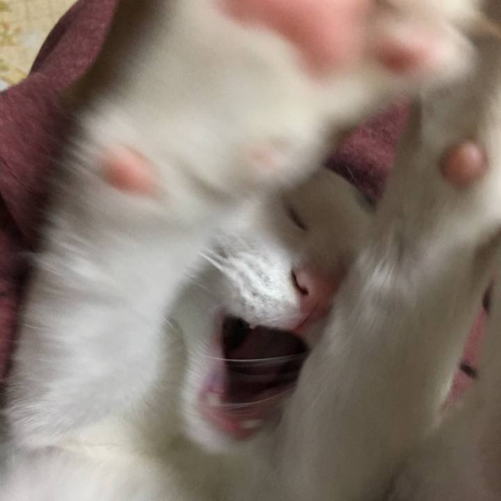 F9b16c12 d323 49fd 98ea 6eec61dc2863