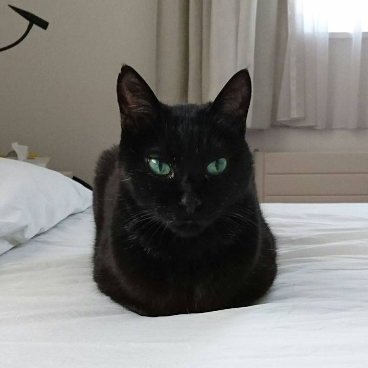 F9b19795 8f63 4145 87ee 2a55fd6ecf12