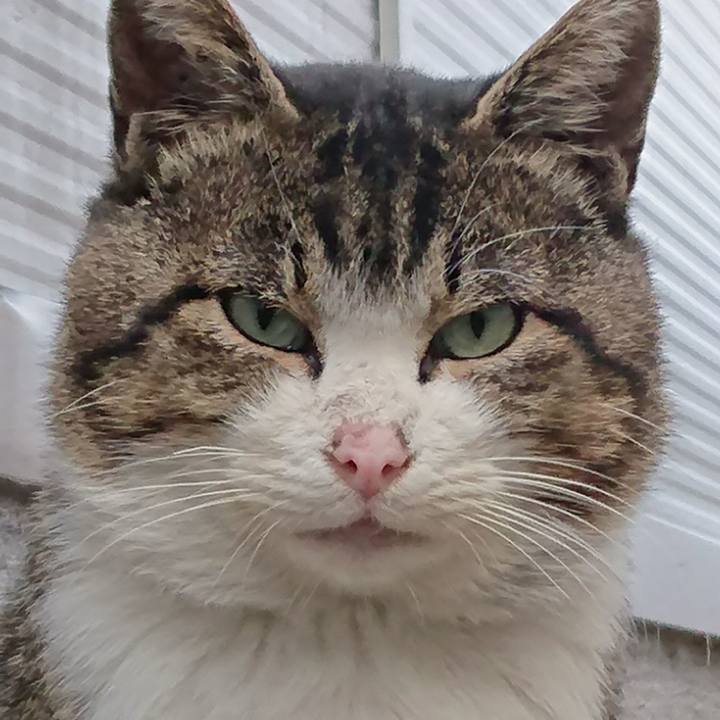 F9b1a219 e29b 4e29 b315 1d83c90cf5c0