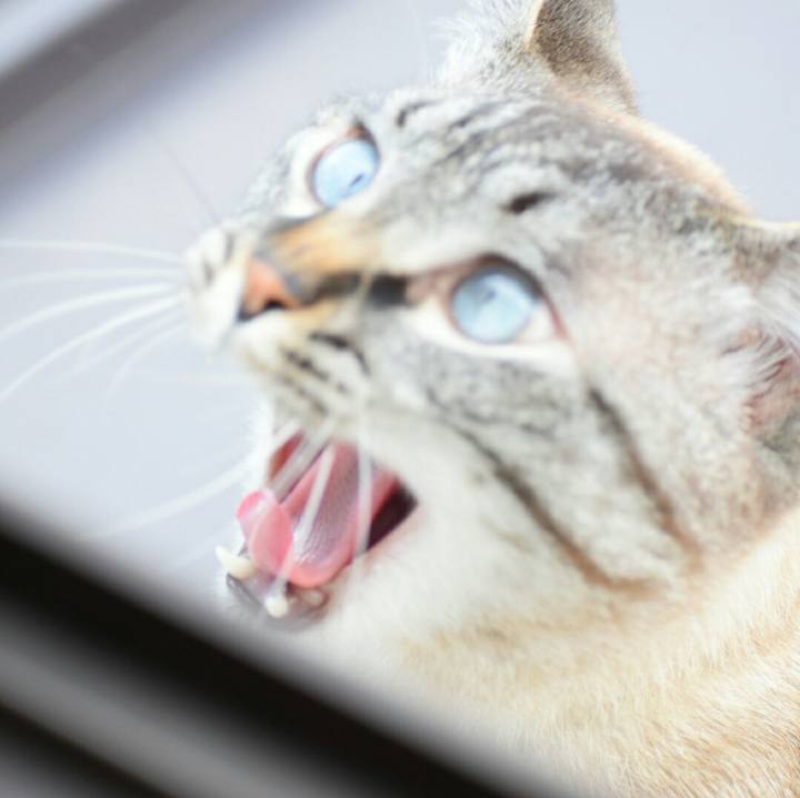 F9b1a9e0 73f3 42a7 95de 09664699734e