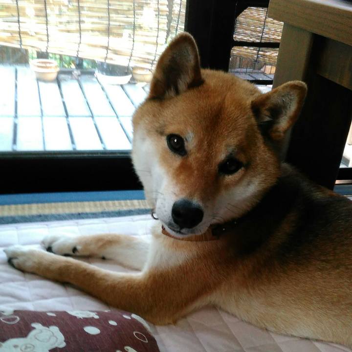 F9b1b368 6393 4fb6 9e2f 3fa868aa18b3