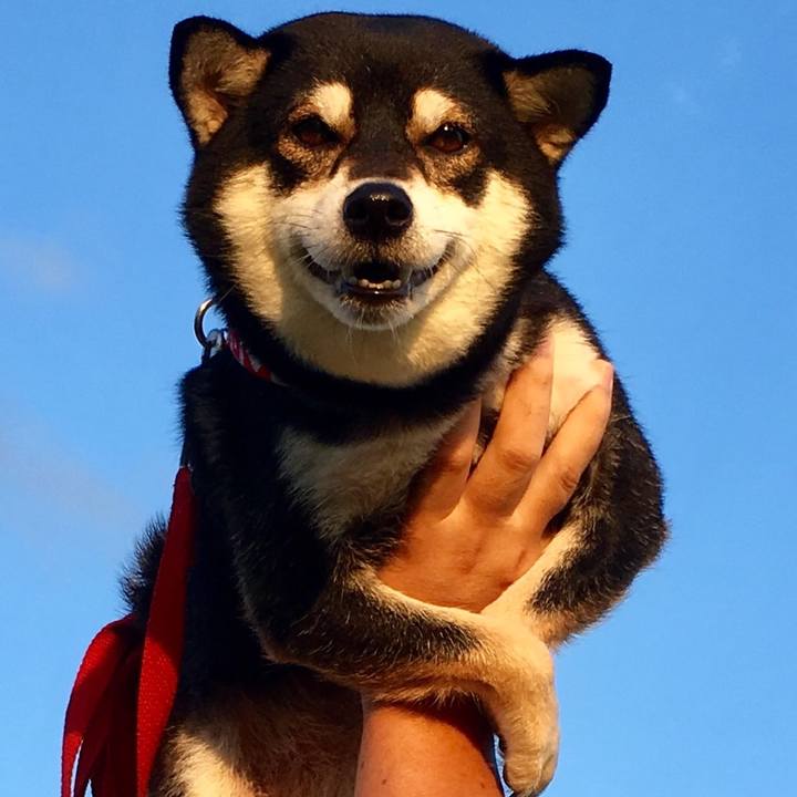 F9b1ccdc d932 4f14 a0af d606b5cea16c