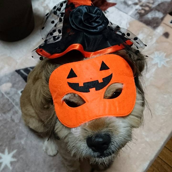 F9b2e3c0 4137 4220 b9bf 2d87cb86773b