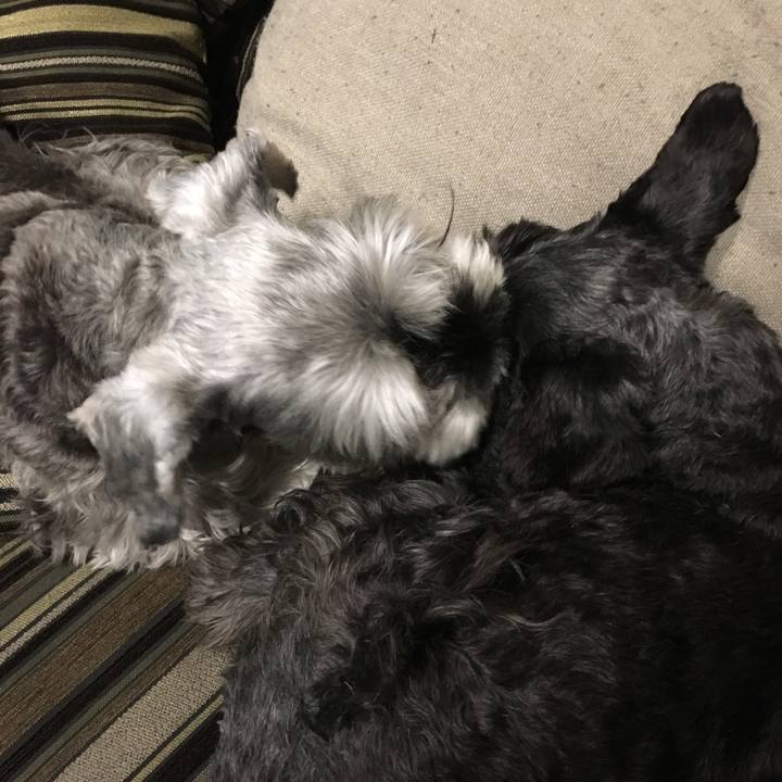 F9b352f5 d29f 4d30 b47e 2f59e18705a1