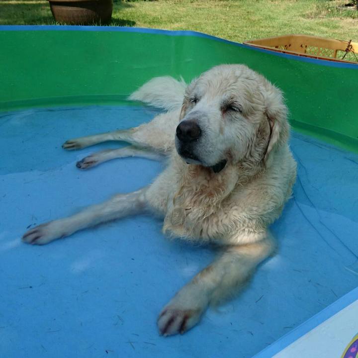 F9b3d723 2faa 432c b2f6 b63bada185de