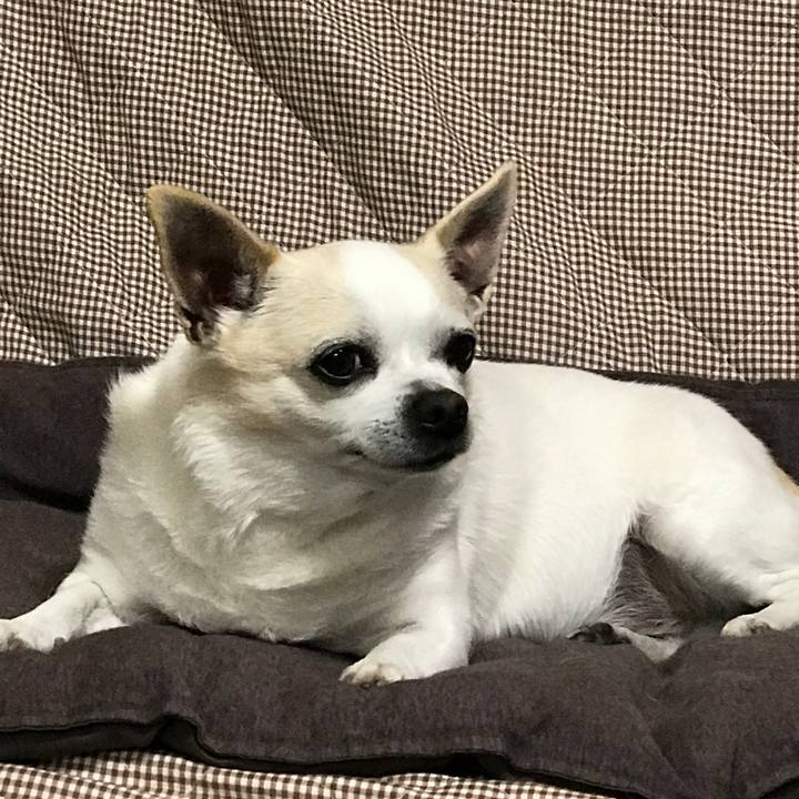 F9b3f226 ca5e 43f4 8cb5 2b4287df7e9c