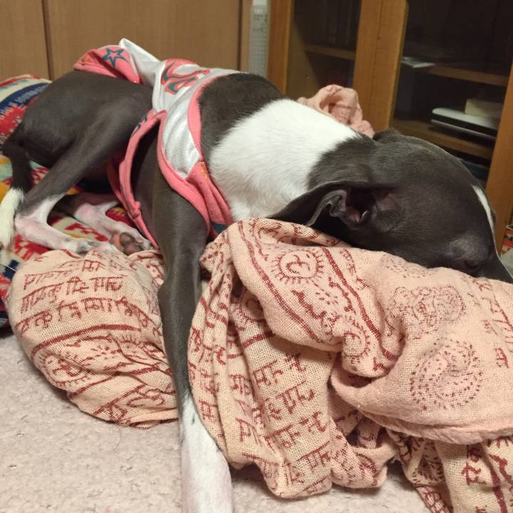 F9b4f05d e3f4 4b92 97ae 3b70f7f363f7