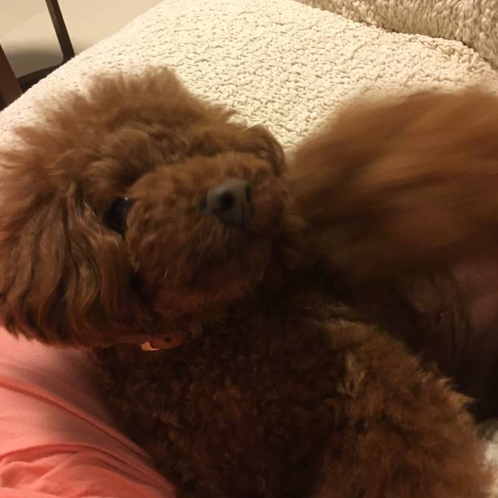 F9b55933 9d65 4f26 a62d 649536fa3463