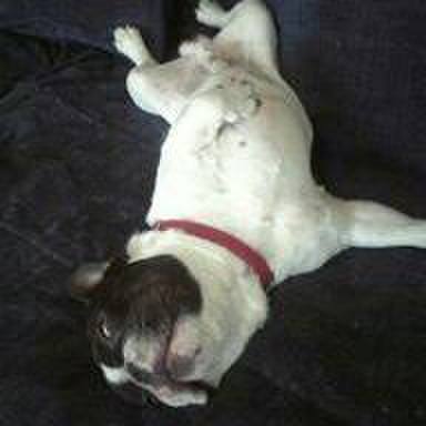 F9b5d675 dad4 4e6b 97f1 04a8dd728193