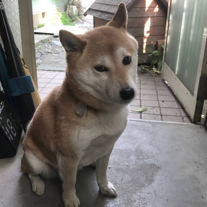 F9b640d9 9ef0 41fd bf4e 60d893916546