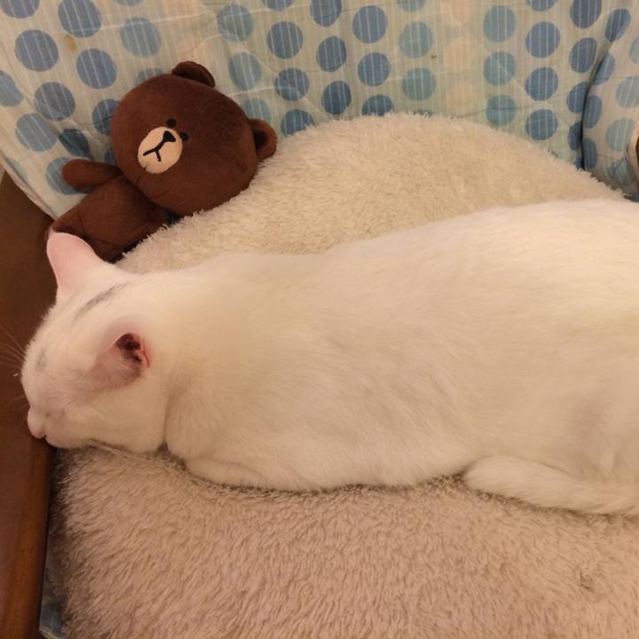 F9b6498f 1646 4cdf 9c4e abc5de63329f