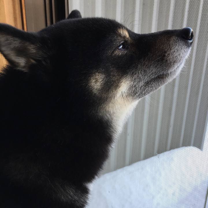 F9b6cb67 e125 4ee2 bdbd e6f545034eac