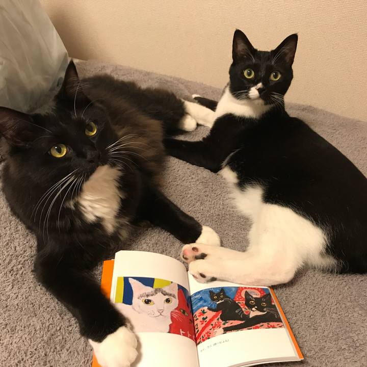 F9b75a36 05a0 4668 9bde cfaa6cec9154