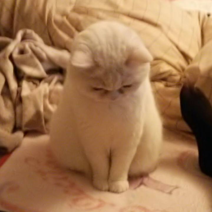 F9b77092 3eb6 4114 8341 df780ff19e45