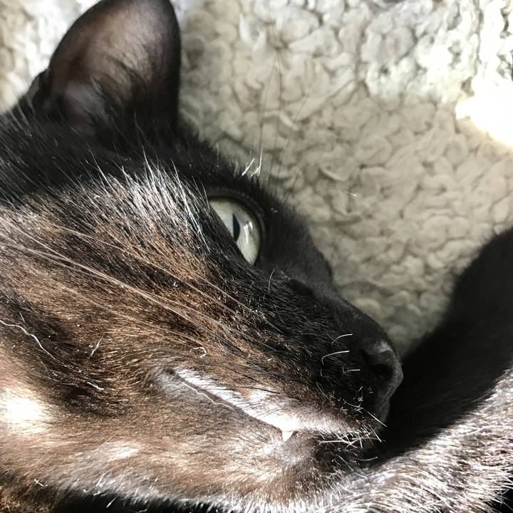 F9b784d4 5282 49b7 9de5 89f2d2ea7875