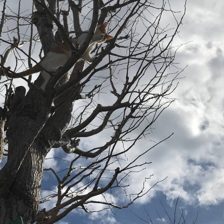 F9b832c9 a3ff 421e 8922 3f9d8852ea30